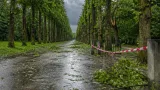 Stadt Köln rät, Parks, Friedhöfe und Alleen wegen Sturmtief vorerst zu meiden