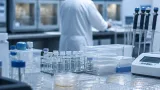 Kölner Forschung: Aminosäure aktiviert Kälte‑Schutzsignal und verlängert Leben von Fadenwürmern
