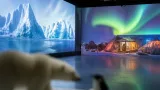 „Polarwelten“ bringt Arktis und Antarktis ab Ende November nach Köln
