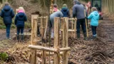 Rhein‑Erft‑Kreis richtet Wildniswerkstatt im Königsdorfer Wald ein – Kinder sollen Bäume pflanzen und pflegen