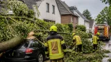 Sturmtief „Luise“: Baum fällt in Rheinbach auf Haus – Feuerwehr räumt Straße, DWD warnt vor Böen bis 75 km/h